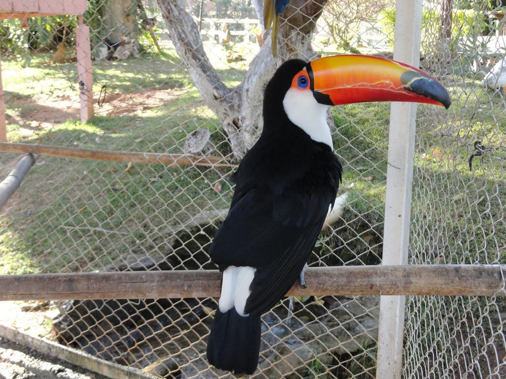 Hotel Fazenda Floresta Do Lago Socorro  Dış mekan fotoğraf